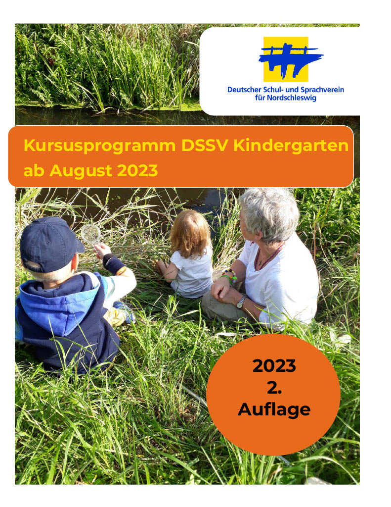 Internes Kursusprogramm DSSV Kindergarten